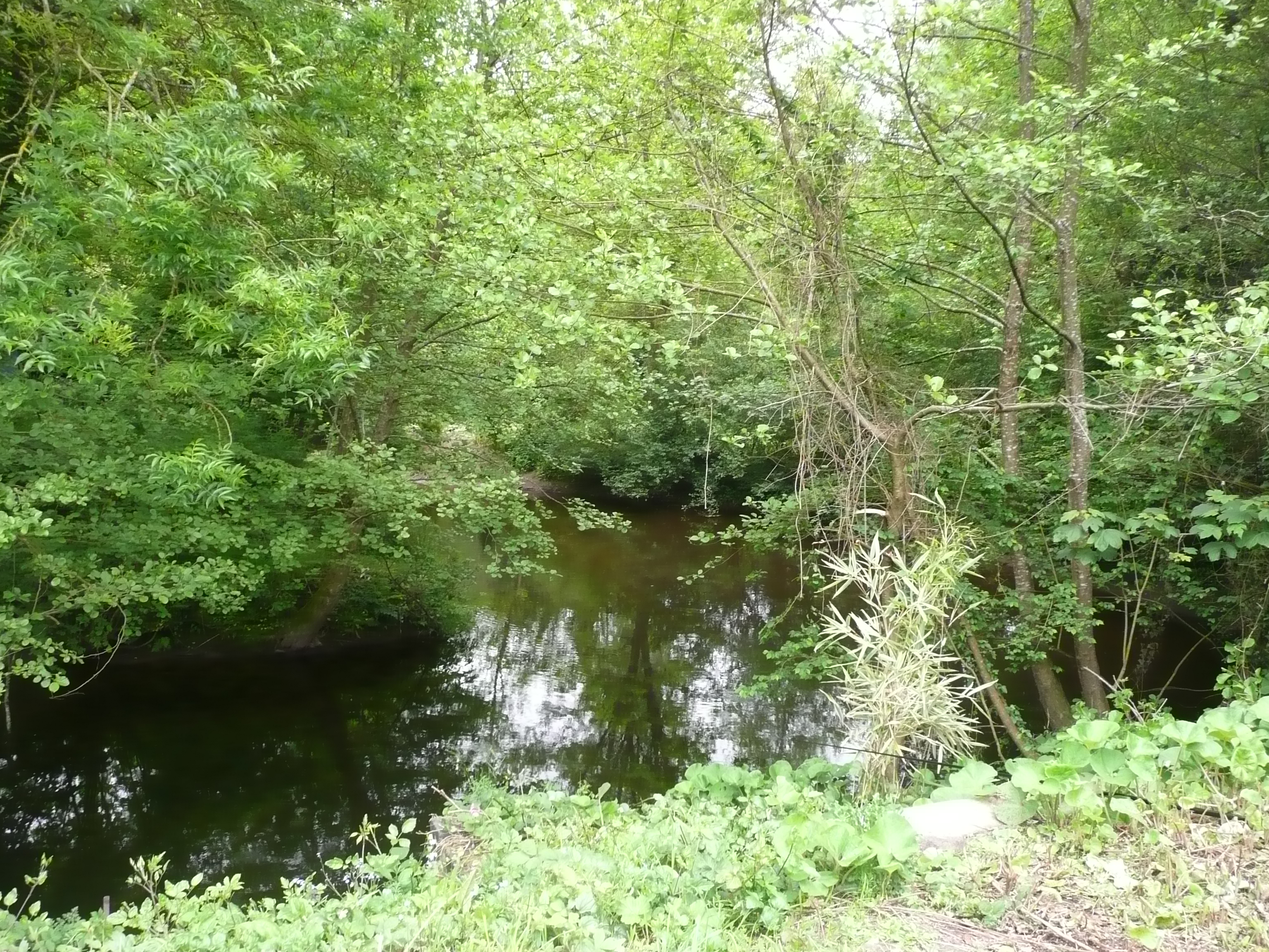 La rivière Le Queffleuth, le long de la propriété de Seznec, à Morlaix